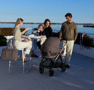 Inglesina Aptica 2 in 1 Travel System 2026 - Essence Mokka