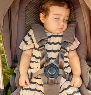 Inglesina Aptica 2 in 1 Travel System 2026 - Essence Mokka