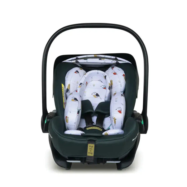 Cosatto Acorn Recline i-Size 0+ Car Seat – Bureau | Reclining Infant Seat from Birth (40–87cm)