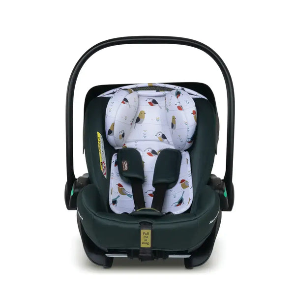 Cosatto Acorn Recline i-Size 0+ Car Seat – Bureau | Reclining Infant Seat from Birth (40–87cm)